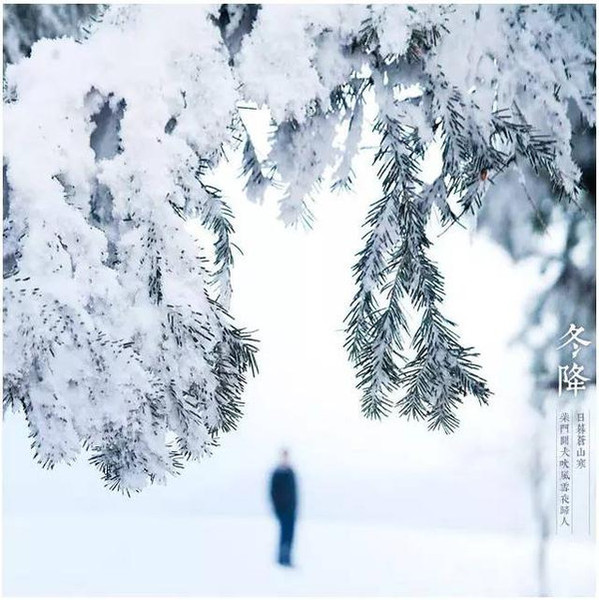 mp48308568_1450058943556_33 mp48308568_1450058943556_33