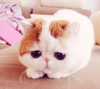 1388148286749_middle 1388148286749_middle