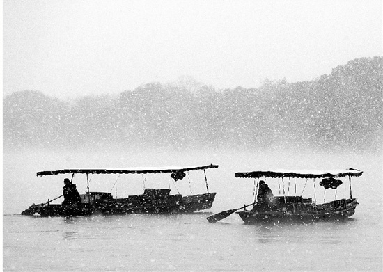 LOCAL201512061445000500136196305 LOCAL201512061445000500136196305