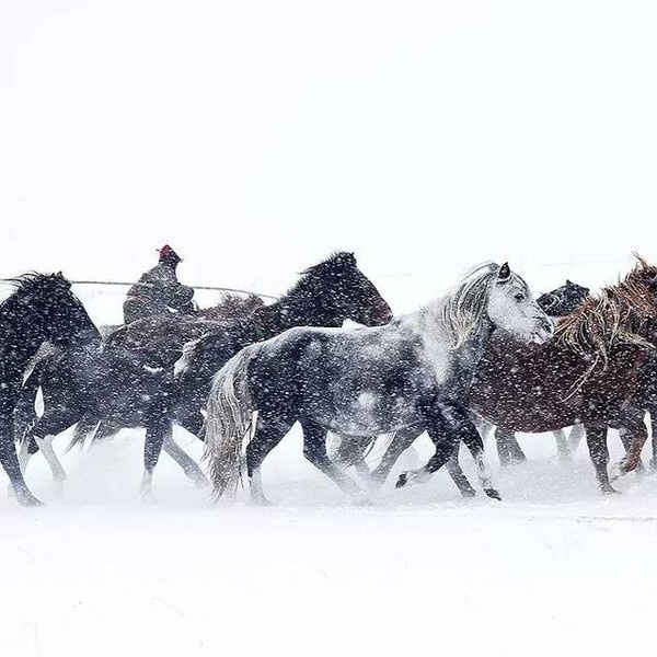 Cg-4rFaggMeIDSJcAAFmJ2UDZHcAAPENADsLxMAAWY_506 Cg-4rFaggMeIDSJcAAFmJ2UDZHcAAPENADsLxMAAWY_506