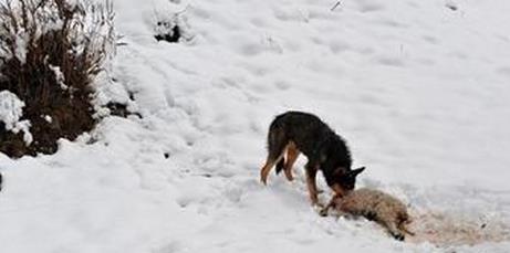 360截图20160122100738073 360截图20160122100738073