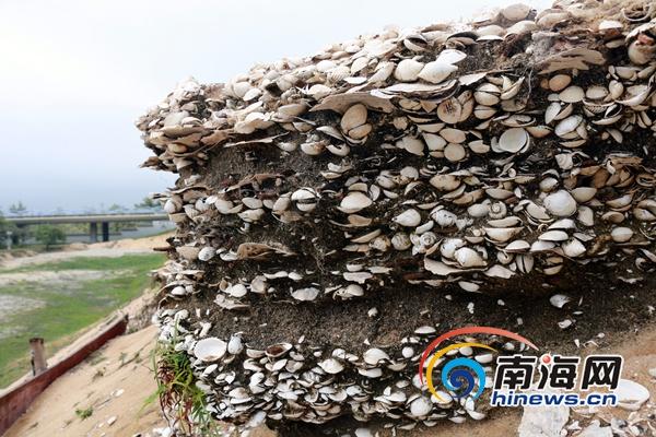 2016012108414016_2822544 2016012108414016_2822544