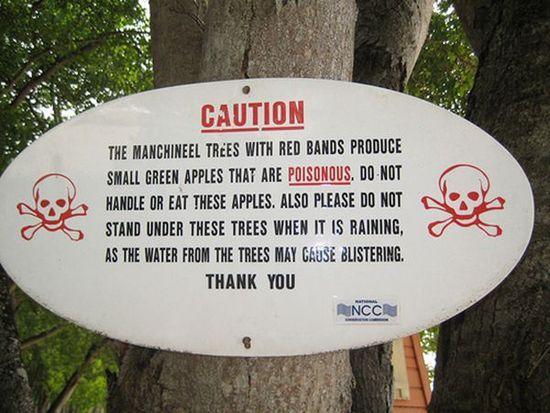 出门旅行必知的致命水果，别拿小命开玩笑~