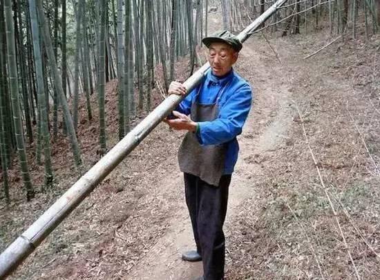 酷毙了！孙子给85岁爷爷拍了一组街拍照