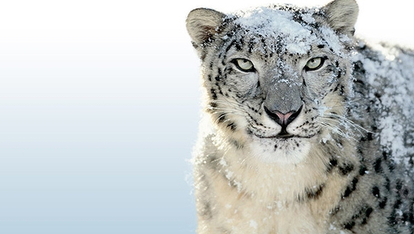 58af236d93dbe88b431694b6 58af236d93dbe88b431694b6