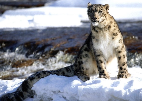 89137_1353328670282912 89137_1353328670282912