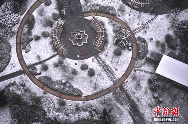 1月23日，重庆主城区迎来罕见大雪天气，一小区绿化带变成了白茫茫的雪地。图为一小区绿化地积起了白雪。 陈超 摄