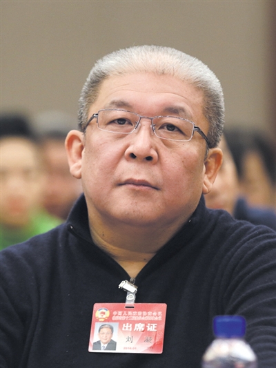 北京市政协委员刘凝。