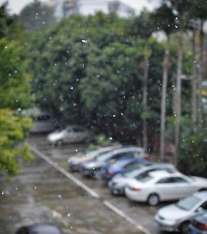 广州城区现雨夹雪2 广州城区现雨夹雪2