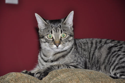 104D394E5C9E551CA12AF211C2ED8AD1 104D394E5C9E551CA12AF211C2ED8AD1