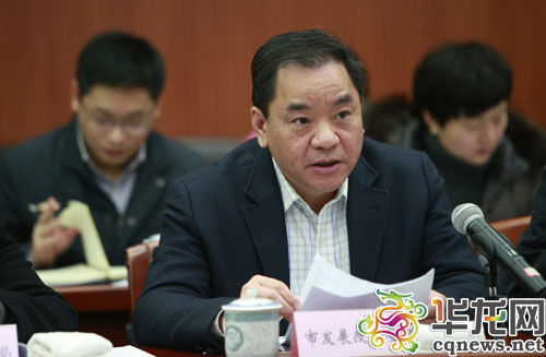 市发改委、市教委等协办单位相关负责人补充汇报办理情况。