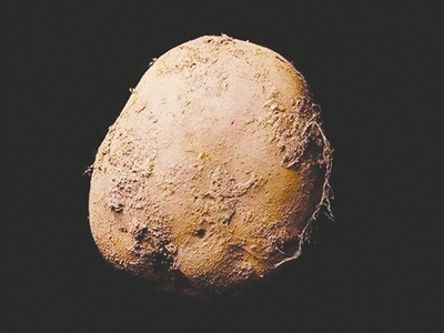 145375758597245345 145375758597245345