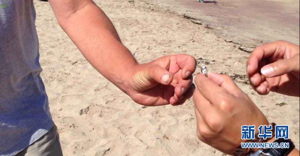 A86C8C6CF6575D60937AE35E1FDDD7FD A86C8C6CF6575D60937AE35E1FDDD7FD