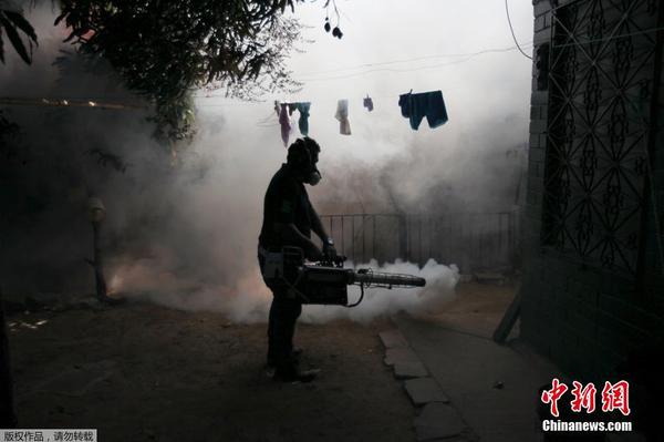 寨卡病毒蔓延2 寨卡病毒蔓延2