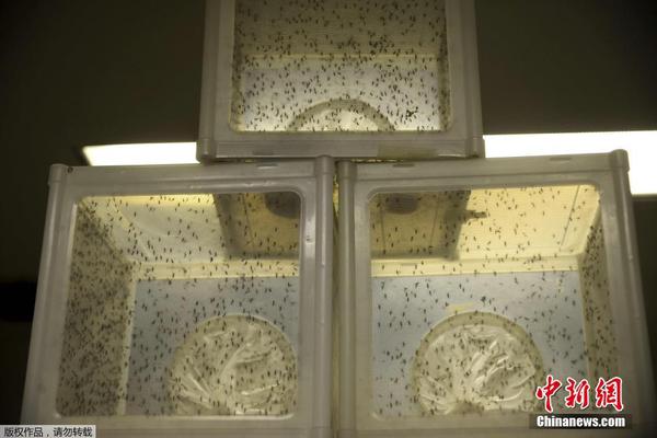 寨卡病毒蔓延4 寨卡病毒蔓延4