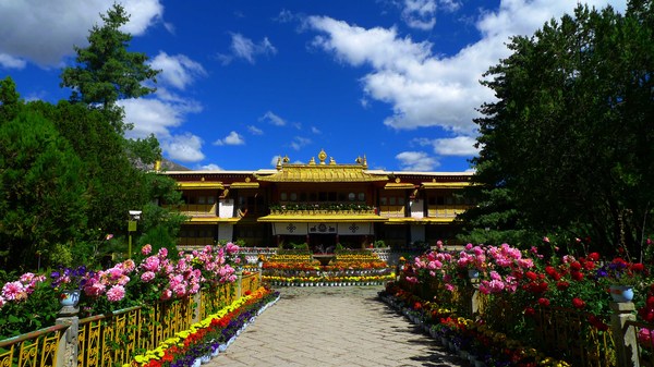 3H99ZZ77BBpppdd1 3H99ZZ77BBpppdd1