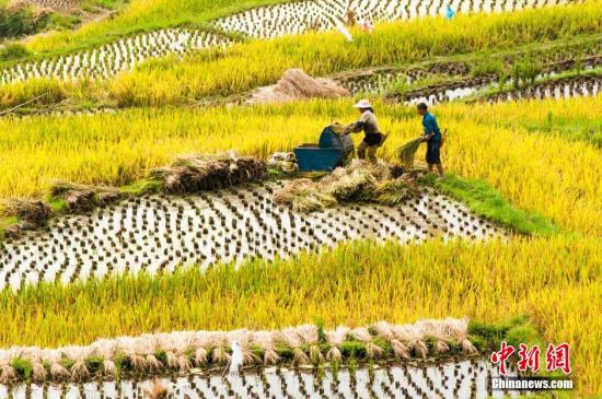 2d55364894f548c6bce1cb80a33e0c1d 2d55364894f548c6bce1cb80a33e0c1d