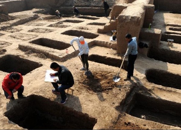 20143189179335 20143189179335