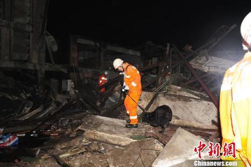 图为消防官兵利用搜救犬搜救被困人员。 李?；?摄