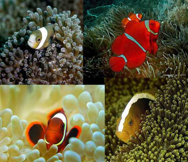 6597975764238525928 6597975764238525928