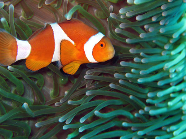 bk_84441d41f094a5243d8d4afc030ff1da_blkyLS bk_84441d41f094a5243d8d4afc030ff1da_blkyLS