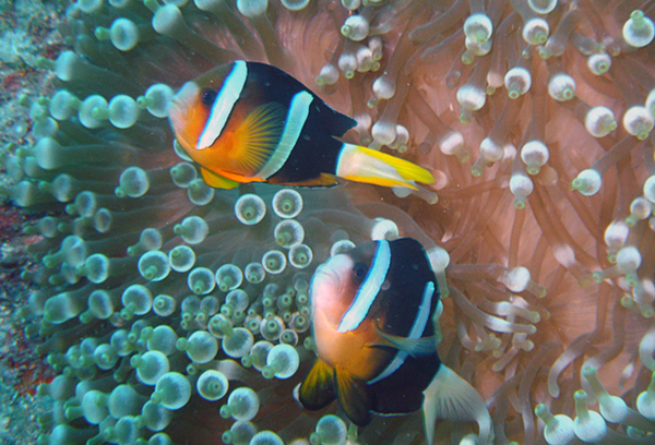 t01f3d84831cfdcb1f3 t01f3d84831cfdcb1f3