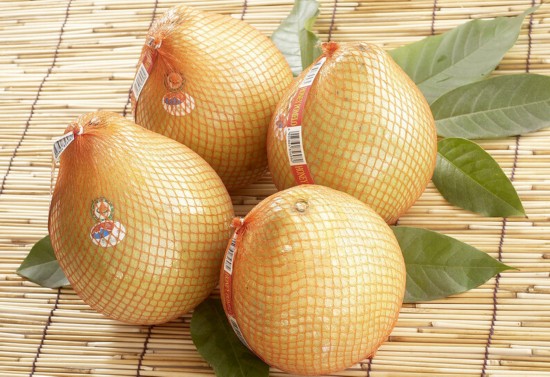 13305402820296406534 13305402820296406534