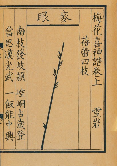 18070055dpvg 18070055dpvg