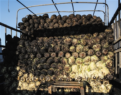 03AA311900EC 03AA311900EC