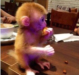 201308251639324043 201308251639324043