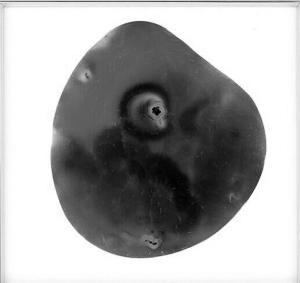 201613018500 201613018500