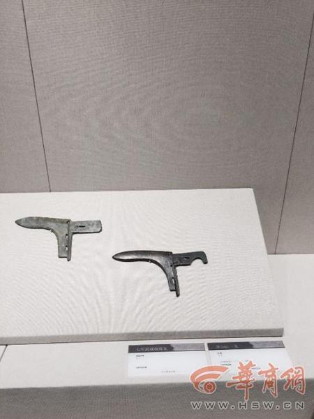 1453968499153735 1453968499153735