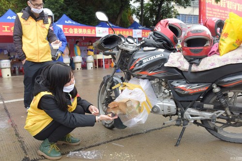 900x600_BEQJRLLK00AP0001