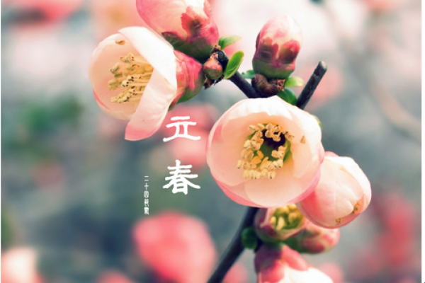 B8CE81CDCF9DC80F33F0EF7ABB96880F B8CE81CDCF9DC80F33F0EF7ABB96880F