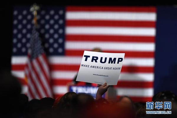 美国党内预选 美国党内预选