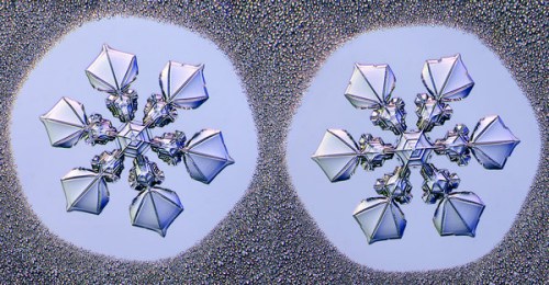 20160203094318caa9d 20160203094318caa9d