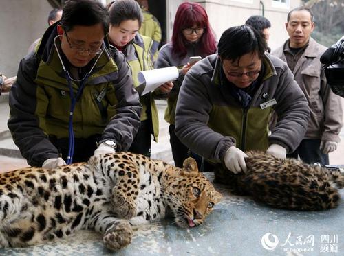 b7bf05dc2847417aaa3c5fe4accee80b b7bf05dc2847417aaa3c5fe4accee80b