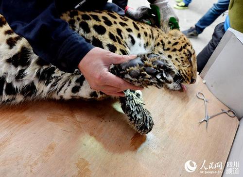 aa8644bdd1594aedac67f326a6612192 aa8644bdd1594aedac67f326a6612192