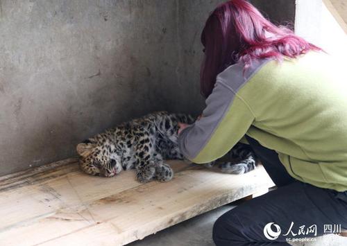 eaa7cb79d35e4920b6f1e7a47014fadb eaa7cb79d35e4920b6f1e7a47014fadb