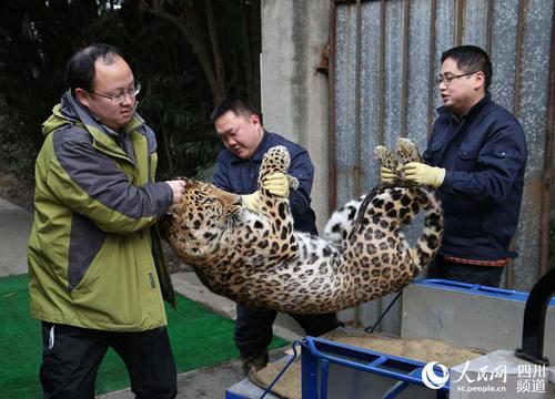 9562b5dc2886469facf4e8aef8c1bf53 9562b5dc2886469facf4e8aef8c1bf53