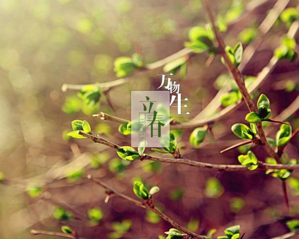 003umfxzgy6PHvc6KCV15&690 003umfxzgy6PHvc6KCV15&690