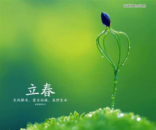 3b290ebc81c2464c87edc1161f2040cc 3b290ebc81c2464c87edc1161f2040cc