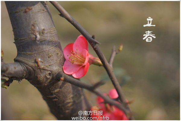 644471aegw1eowdgnmxotj21kw11ywkq 644471aegw1eowdgnmxotj21kw11ywkq