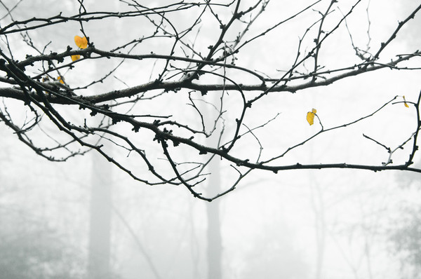 6619565774561288413 6619565774561288413