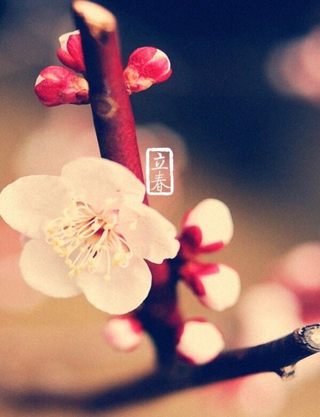 20150207061503_xZFkA.thumb.700_0 20150207061503_xZFkA.thumb.700_0