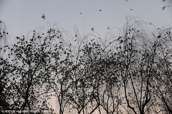 20160118083851665166 20160118083851665166