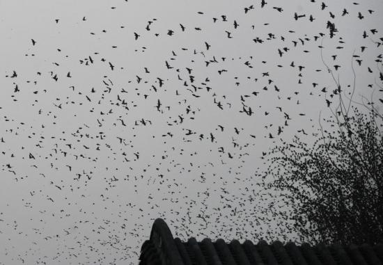 1452983317137859 1452983317137859