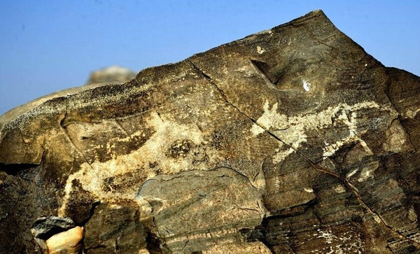 ac4bd11373f08202430f773d48fbfbedab641b16 ac4bd11373f08202430f773d48fbfbedab641b16