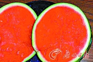 现在的西瓜 点击进入下一页