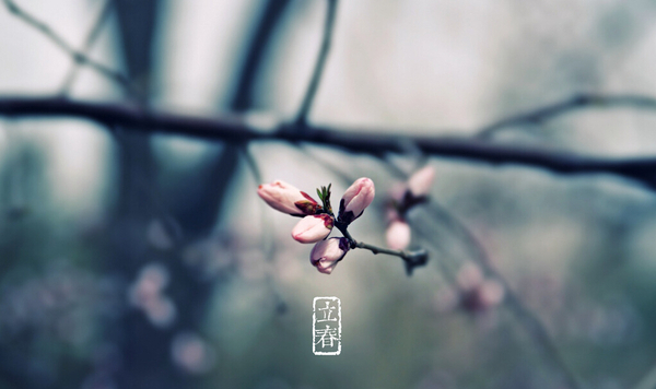 QQ截图20160204142806 QQ截图20160204142806